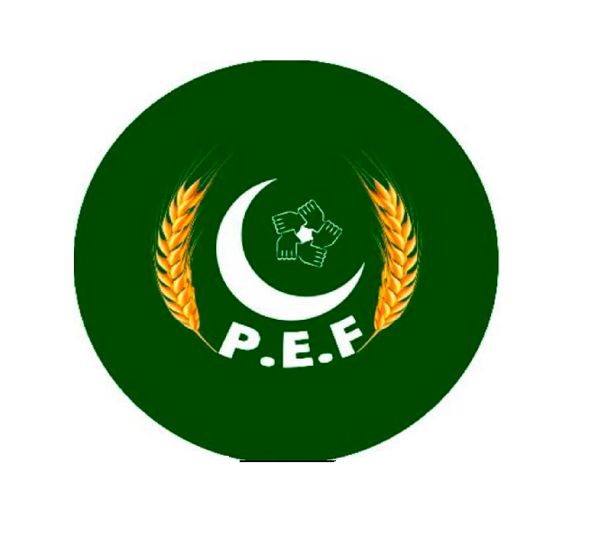 PEF Members P-2 without GPT